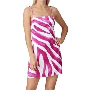 The East Order Rhea Zebra Striped Mini Dress